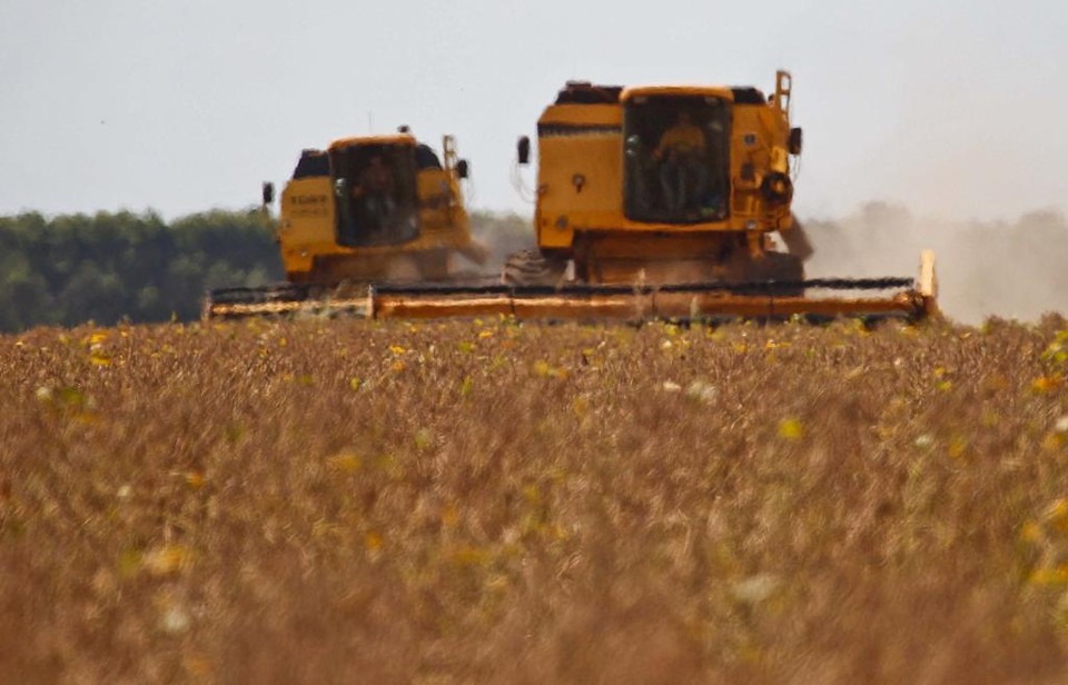 No MS, colheita rende 55 sacas por hectare, considerada boa por conta dos problemas com o clima. | Jonathan Campos/Gazeta do Povo