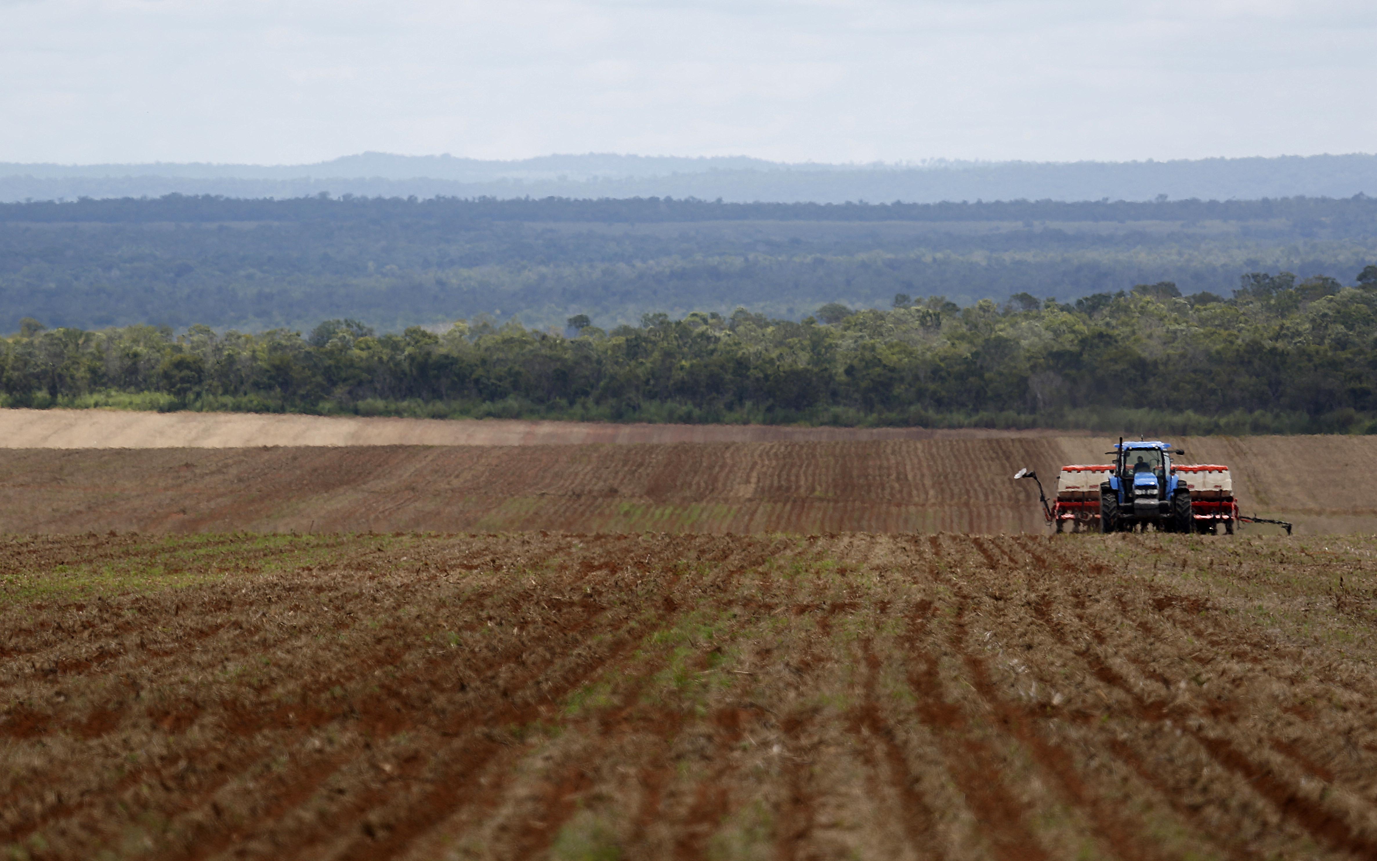 Produtores utilizaram R$ 51,3 bilhões das linhas de custeio da safra. | Jonathan Campos/Gazeta do Povo