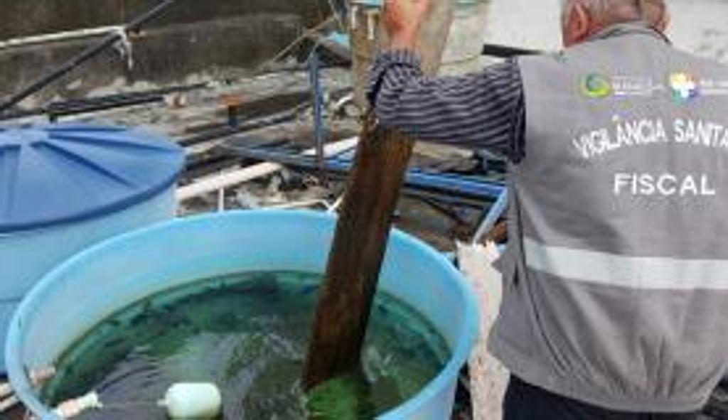 | Prefeitura de Manaus / Divulgação/