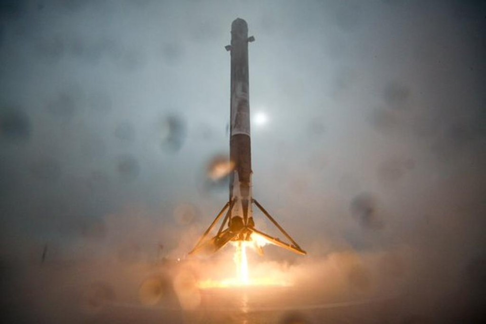 | Twitter/Elon Musk