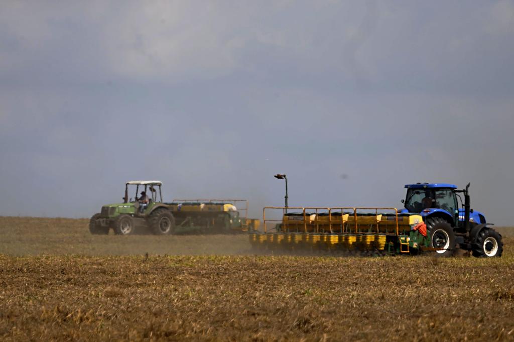 Brasileiros entendem como desvantagem nos subsídios agrícolas utilizados pelo maior produtor mundial de oleaginosa. | Albari Rosa/Gazeta do Povo