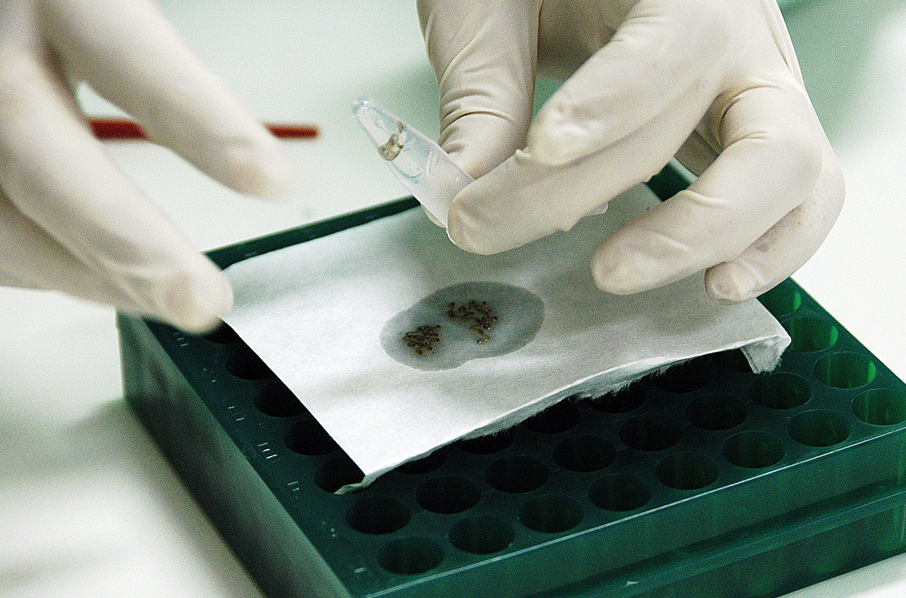  | Raul Santana/Fiocruz Imagens