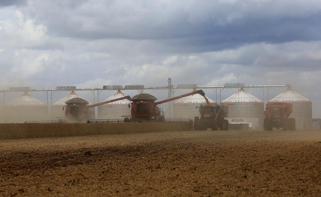 A produção de soja é o principal destaque e deverá atingir 100,93 milhões de toneladas, ou seja, 4,7 milhões de t a mais, ou 4,9%, do que na safra anterior, impulsionada por ganhos de área e produtividade. | Jonathan Campos/Gazeta do Povo