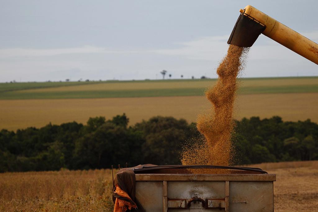 O IBGE diz que o Brasil deve colher 58,5 milhões de hectares na safra de grãos em 2016, segundo o levantamento. A área será 1,3% maior do que a colhida em 2015. | Jonathan Campos/Gazeta do Povo