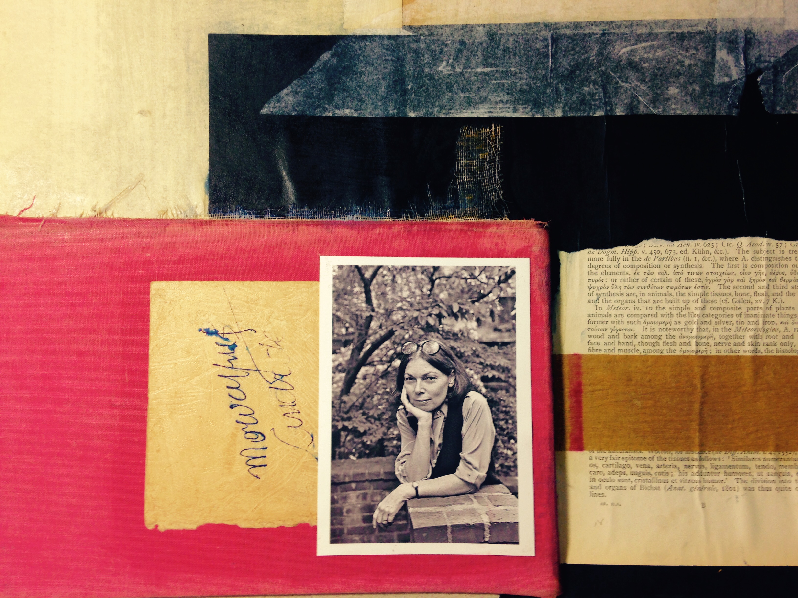  | Miguel Nicolau/Especial para a Gazeta do Povo