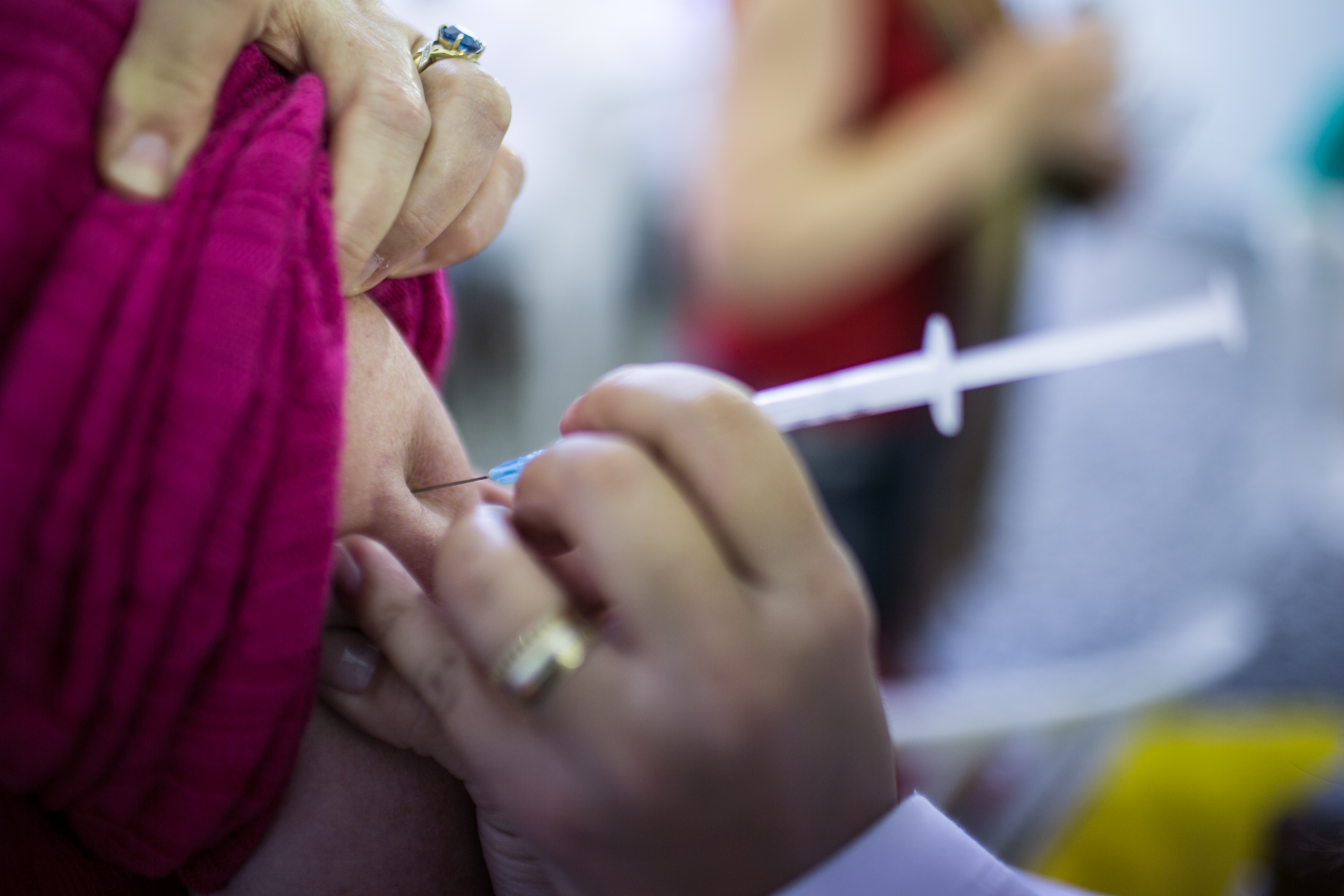 | Brunno Covello/Arquivo Gazeta do Povo