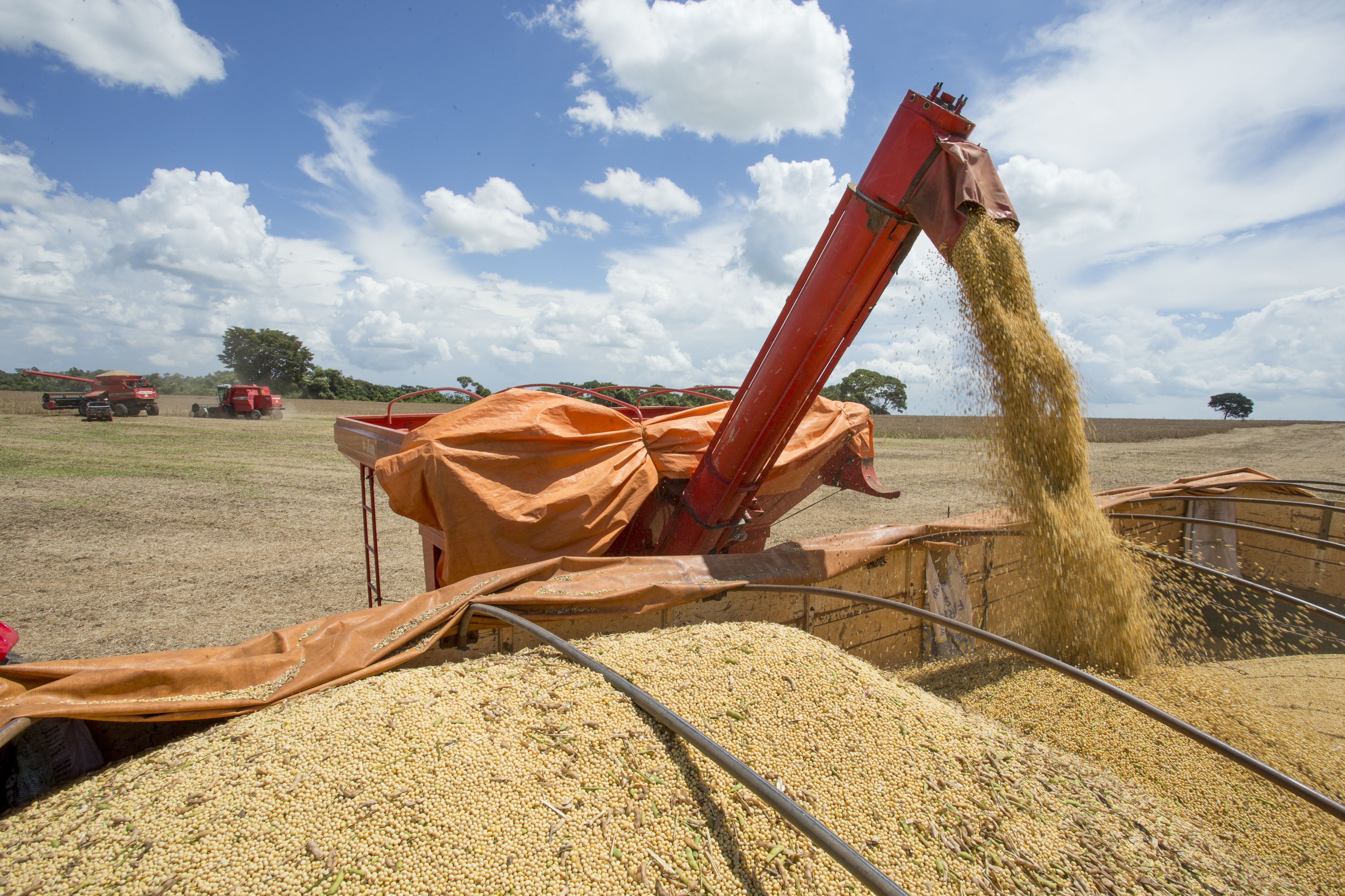 Segundo o presidente da CNA, João Martins, é possível que o setor seja “surpreendido do dia para a noite com alguma tributação nova”. | Hugo Harada/Gazeta do Povo