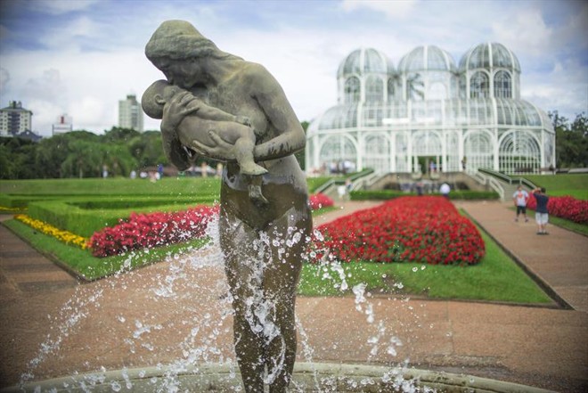 A planta pode ser encontrada em mais de 25 cores. No Jardim Botânico, elas floresceram em lilás, magenta e vermelho | Divulgação/Gabriel Rosa/PMC