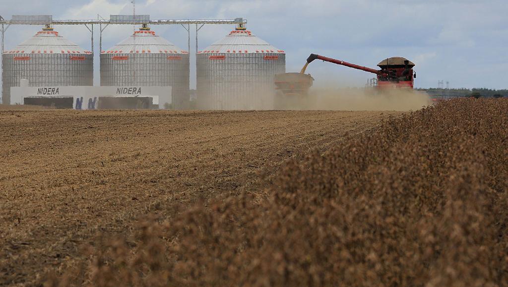 Nas três últimas edições, os campeões nacionais foram do Paraná. | Jonathan Campos/Gazeta do Povo