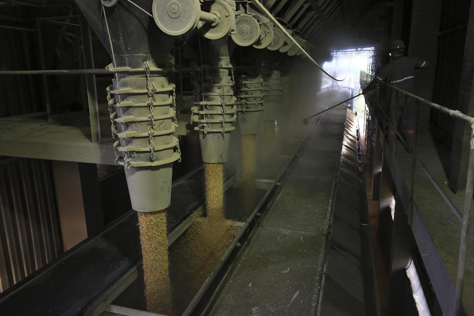 Com potencial produtivo de 215 milhões de toneladas de grãos para a temporada 2015/16, a safra brasileira deve alcançar crescimento de 2,4% em relação ao ciclo anterior. | Jonathan Campos/Gazeta do Povo