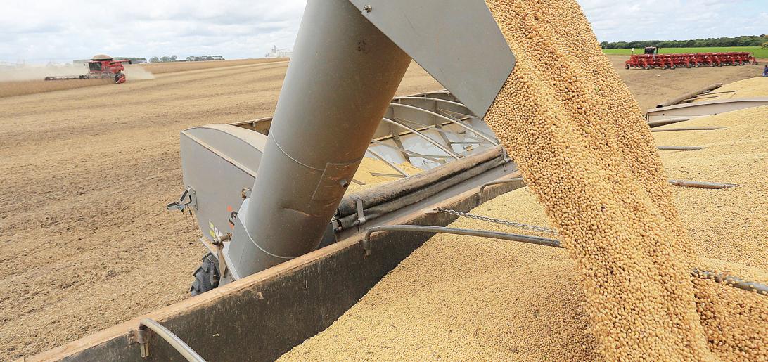 Não há tempo a perder na região Centro-Oeste do país, Conforme a colheita avança, plantadeiras entram com o milho safrinha. | Fotos: Jonathan Campos/Gazeta do Povo