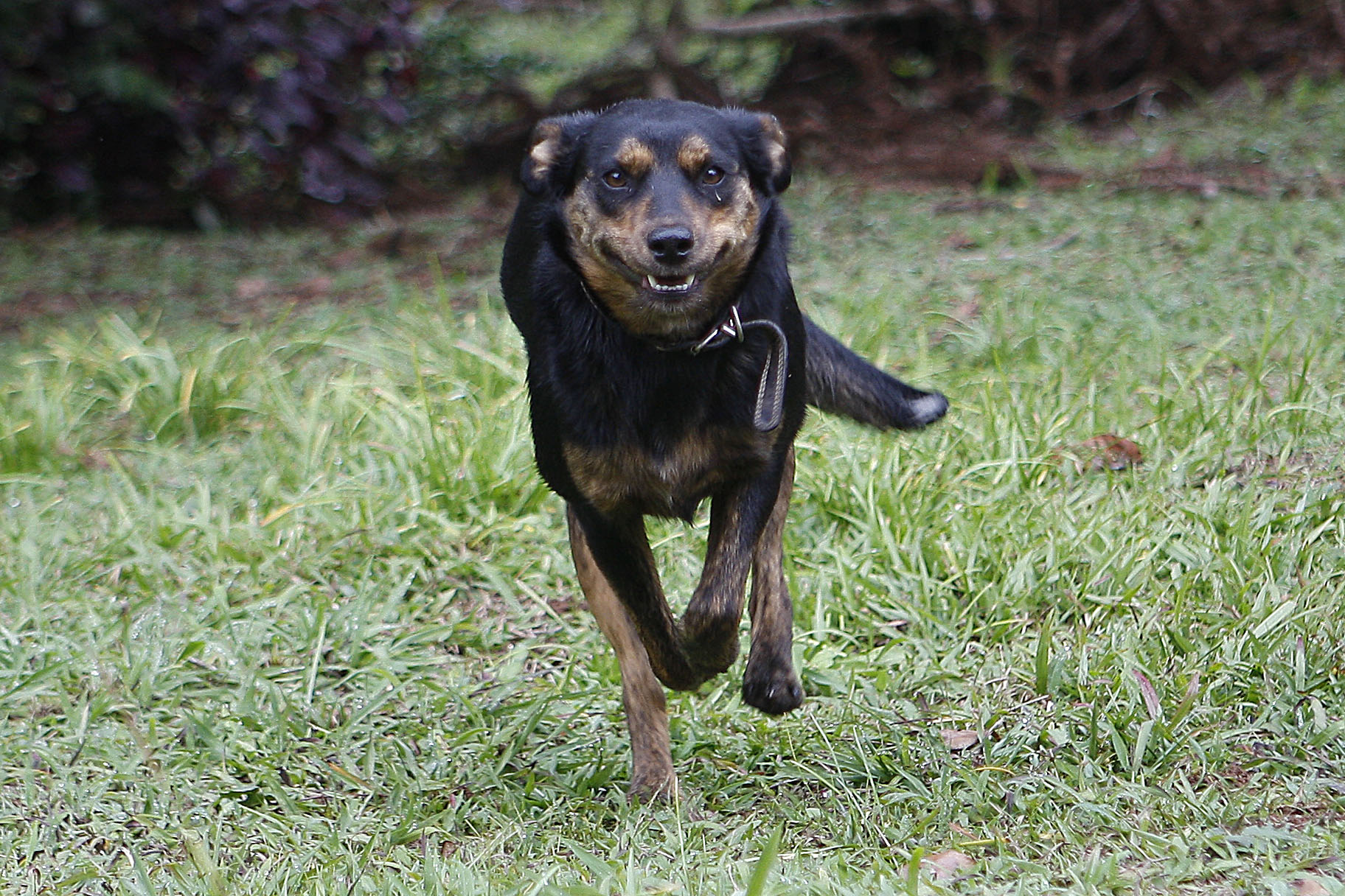 | Jonathan Campos/Gazeta do Povo/Arquivo/