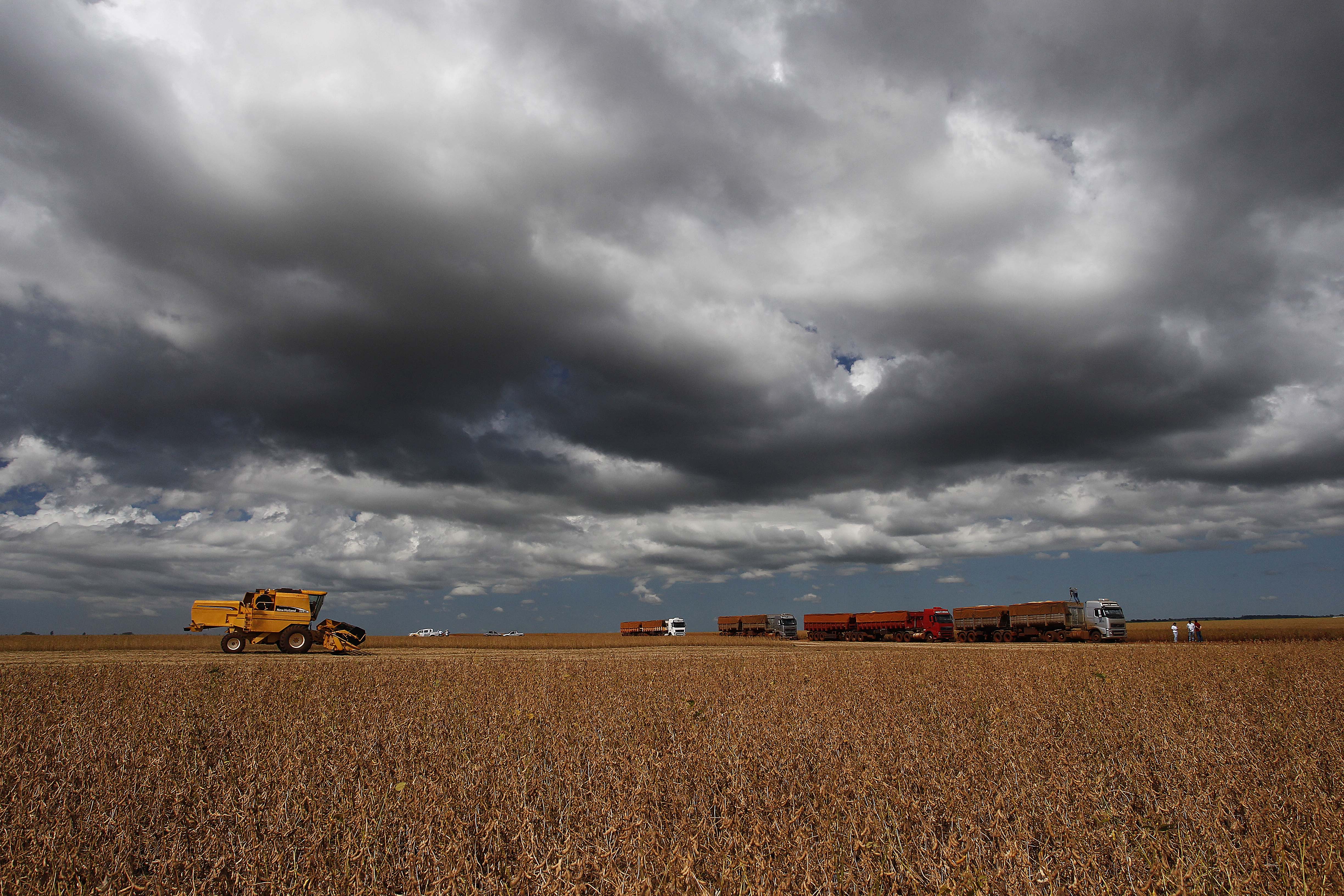 Reforço na infraestrutura de escoamento e capcidade para ampliar produção dão lastro para nova década de crescimento no campo. | Jonathan Campos/Gazeta do Povo