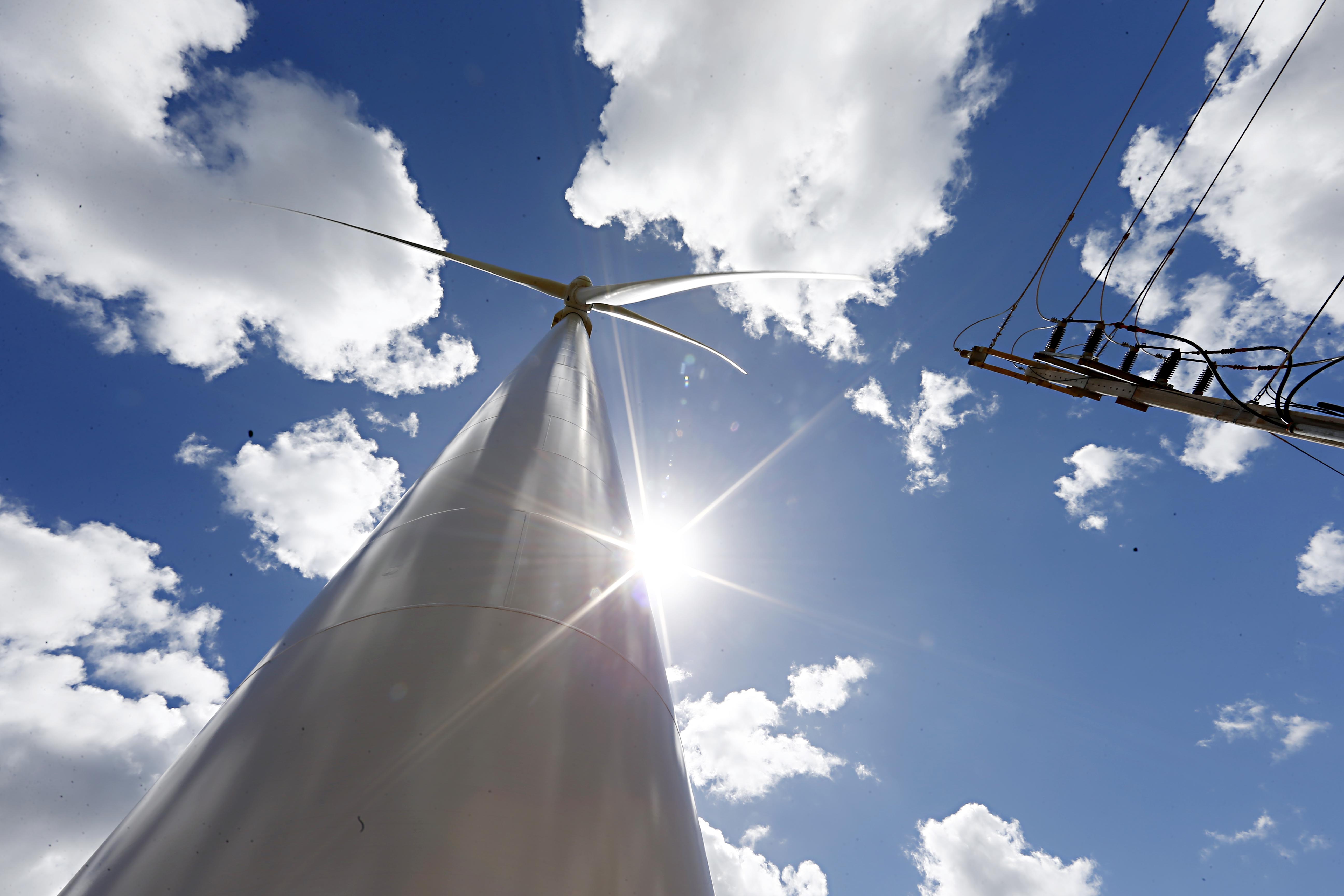 Parque eólico Brisa Potiguar, da Copel, no Rio Grande do Norte. | Albari Rosa/Gazeta do Povo