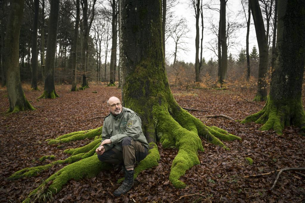 Peter Wohlleben  nas florestas de Hummel, onde realiza seus estudos | GORDON WELTERS/NYT