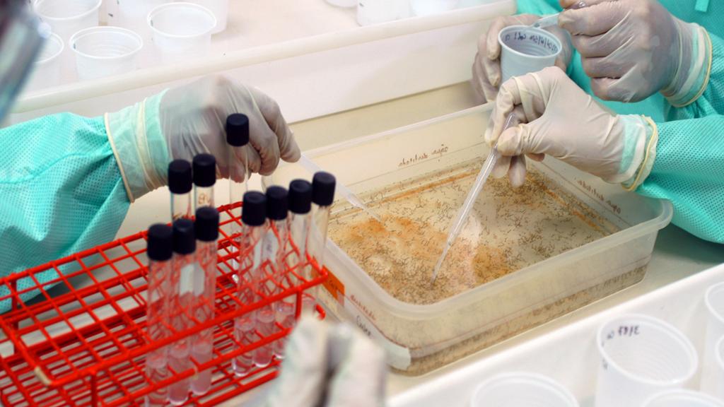  | Peter Ilicciev/Fiocruz Imagens