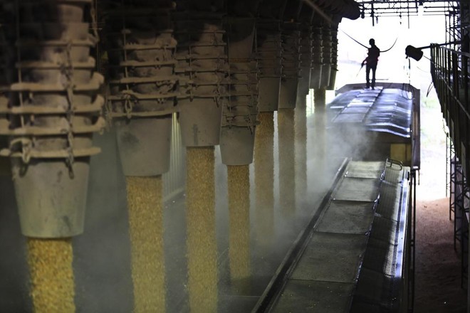 Estado ainda tem milhares de sacas de milho para escoar, visando liberar espaço para chegada da soja. | Jonathan Campos/Gazeta do Povo