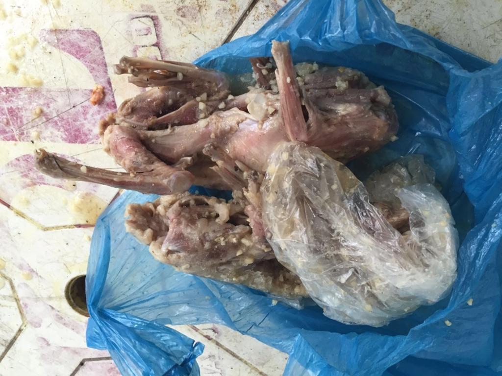 | /Divulgação/Secretaria Municipal de Saúde de Florianópolis