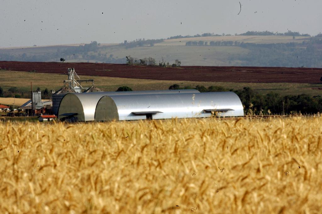 | ALBARI ROSA/Gazeta do Povo