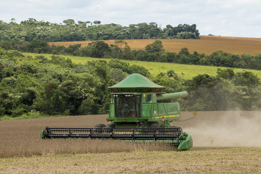 | Hugo Harada/Gazeta do Povo