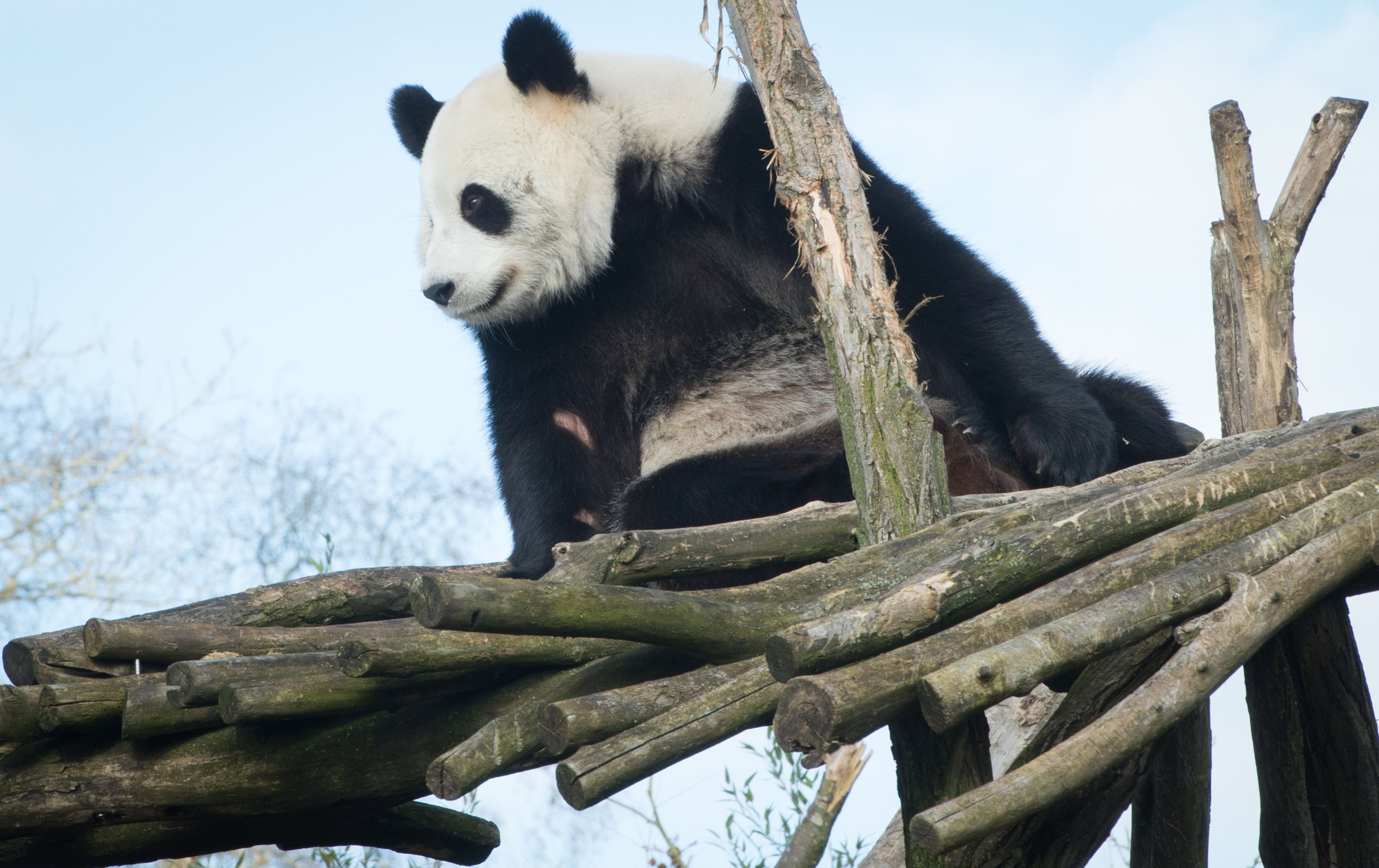 | BENOIT DOPPAGNE/AFP