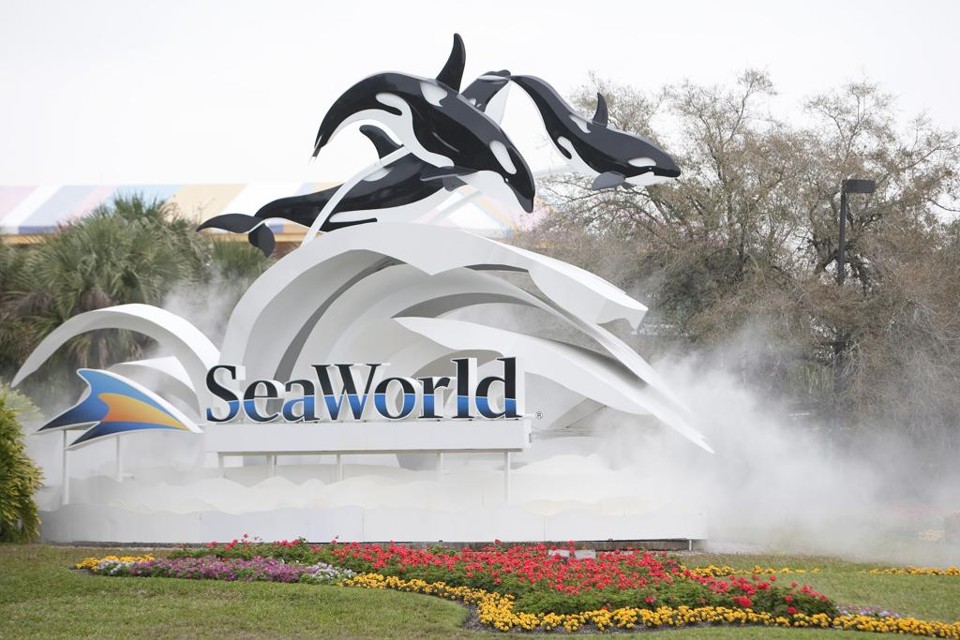 SeaWorld admite que mandava funcionários se passarem por ativistas pró-animais | ms/mpb/MATT STROSHANE