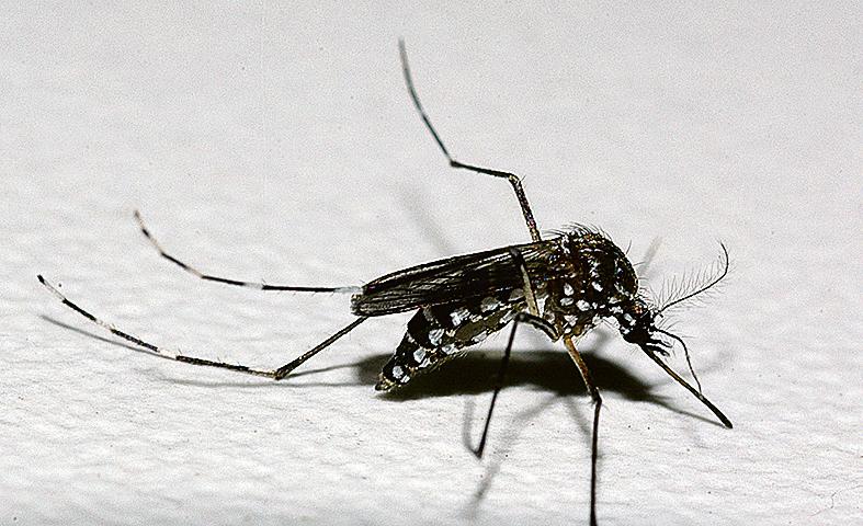  | Raul Santana/Fiocruz Imagens