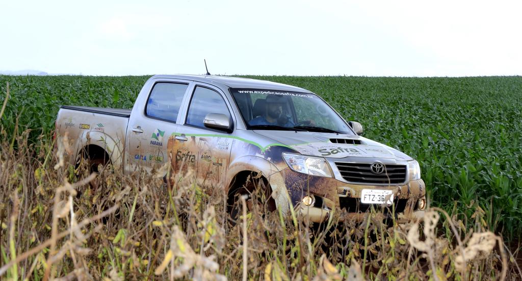 | Pedro Serapio/Gazeta do Povo