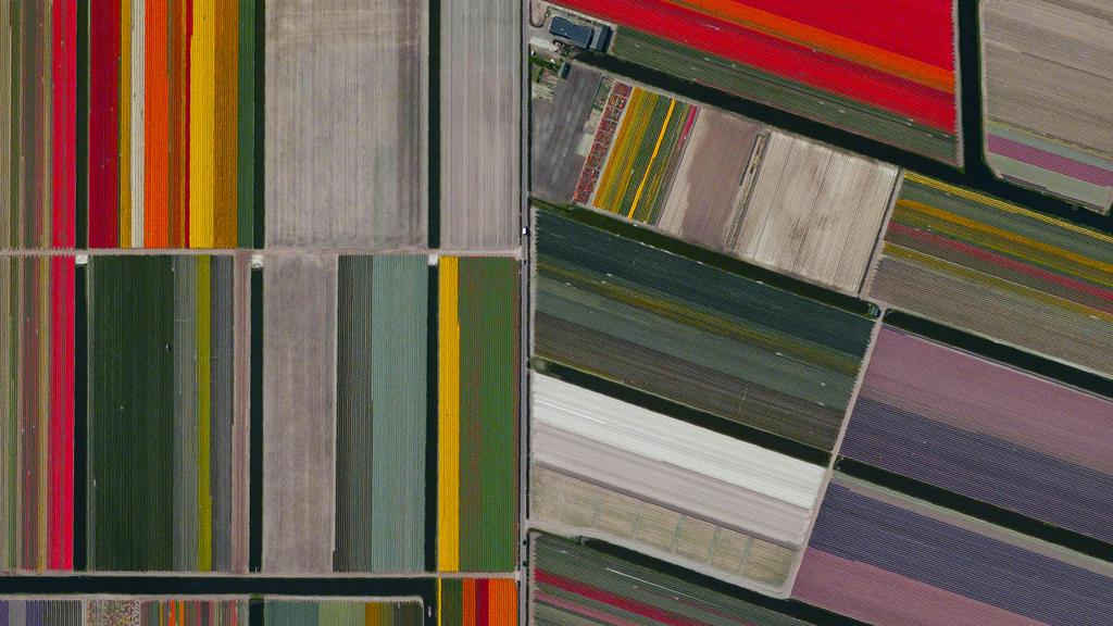 Campos de tulipas em Lisse, na Holanda, em imagem de satélite selecionada pelo projeto. | Daily Overview
/Divulgação
