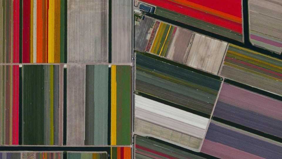 Campos de tulipas em Lisse, na Holanda, em imagem de satélite selecionada pelo projeto. | Daily Overview
/Divulgação