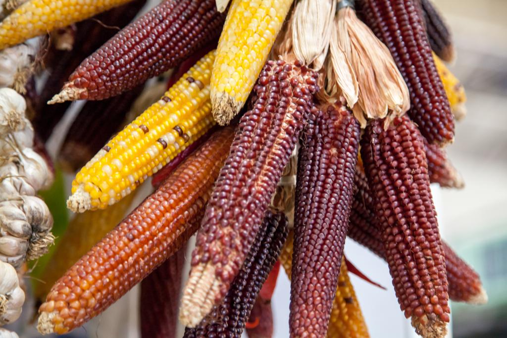 Com isso, a categoria de matérias-primas brutas registrou alta de 1,96% em fevereiro, após aumento de 0,36% em janeiro. | Fernando Zequinão/Gazeta do Povo