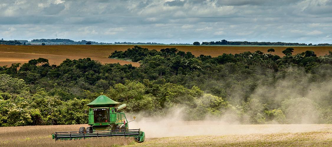  | Fotos: Hugo Harada/Gazeta do Povo