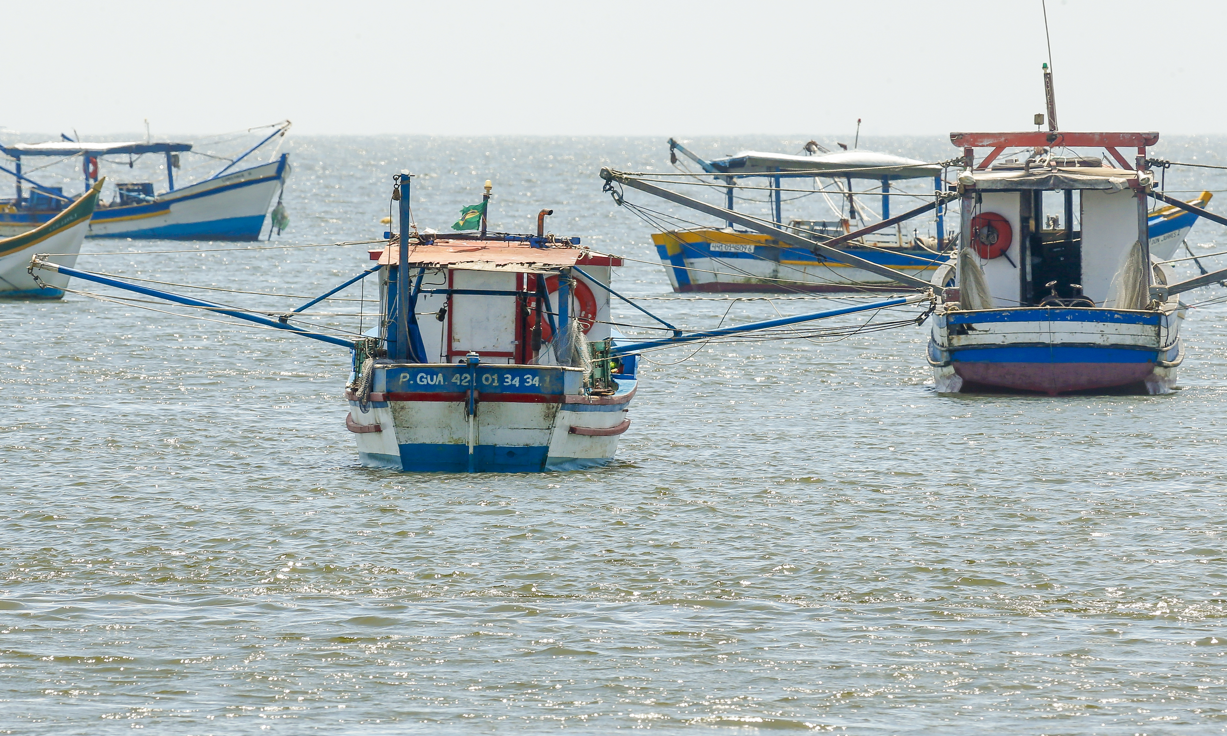 Com as investigações, o governo havia suspendido o pagamento do seguro e, desde então, faz o recadastramento dos pescadores. | Hugo Harada/Gazeta do Povo