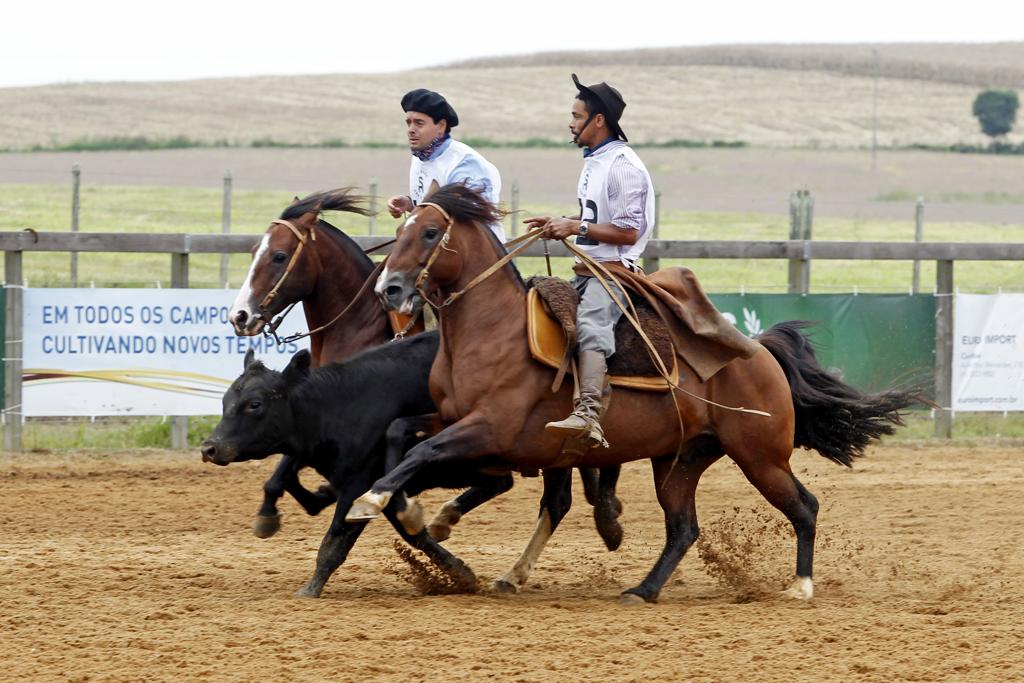 A programação inicia no dia 03 de março, com a 16ª Credenciadora de Inéditos da Cabanha São Rafael. | Antônio More/
Gazeta do Povo