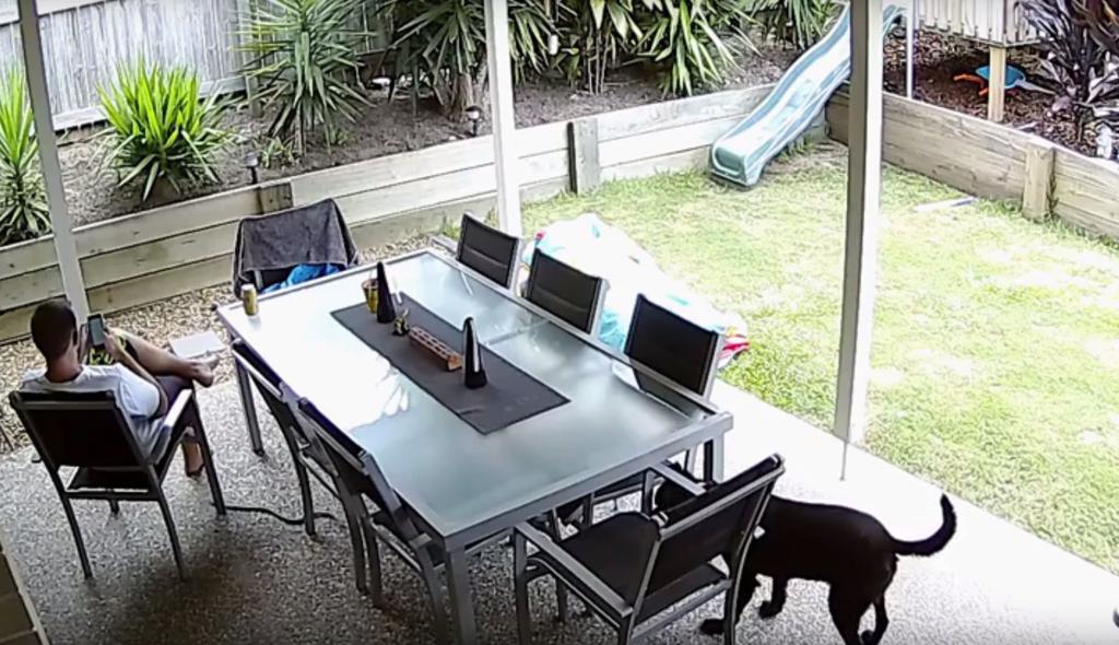 Serpente se aproxima dos pés de australiano distraído com o celular | Reprodução/Youtube (Drew Scott)