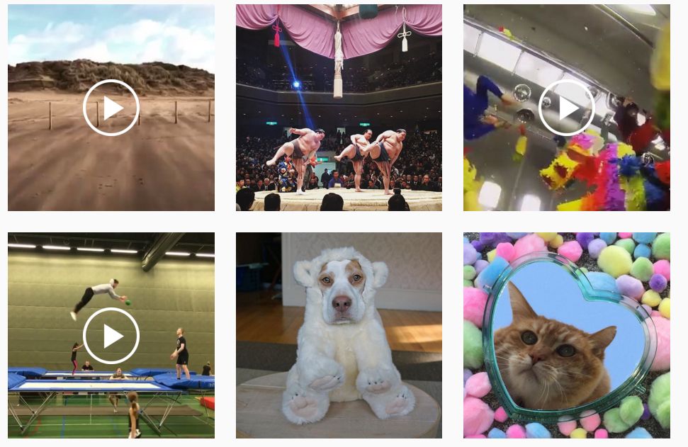 Nas próximas semanas, o Instagram começará a mostrar a quantidade de visualizações dos vídeos, onde antes ficava o botão “Curti” | Reprodução/Instagram