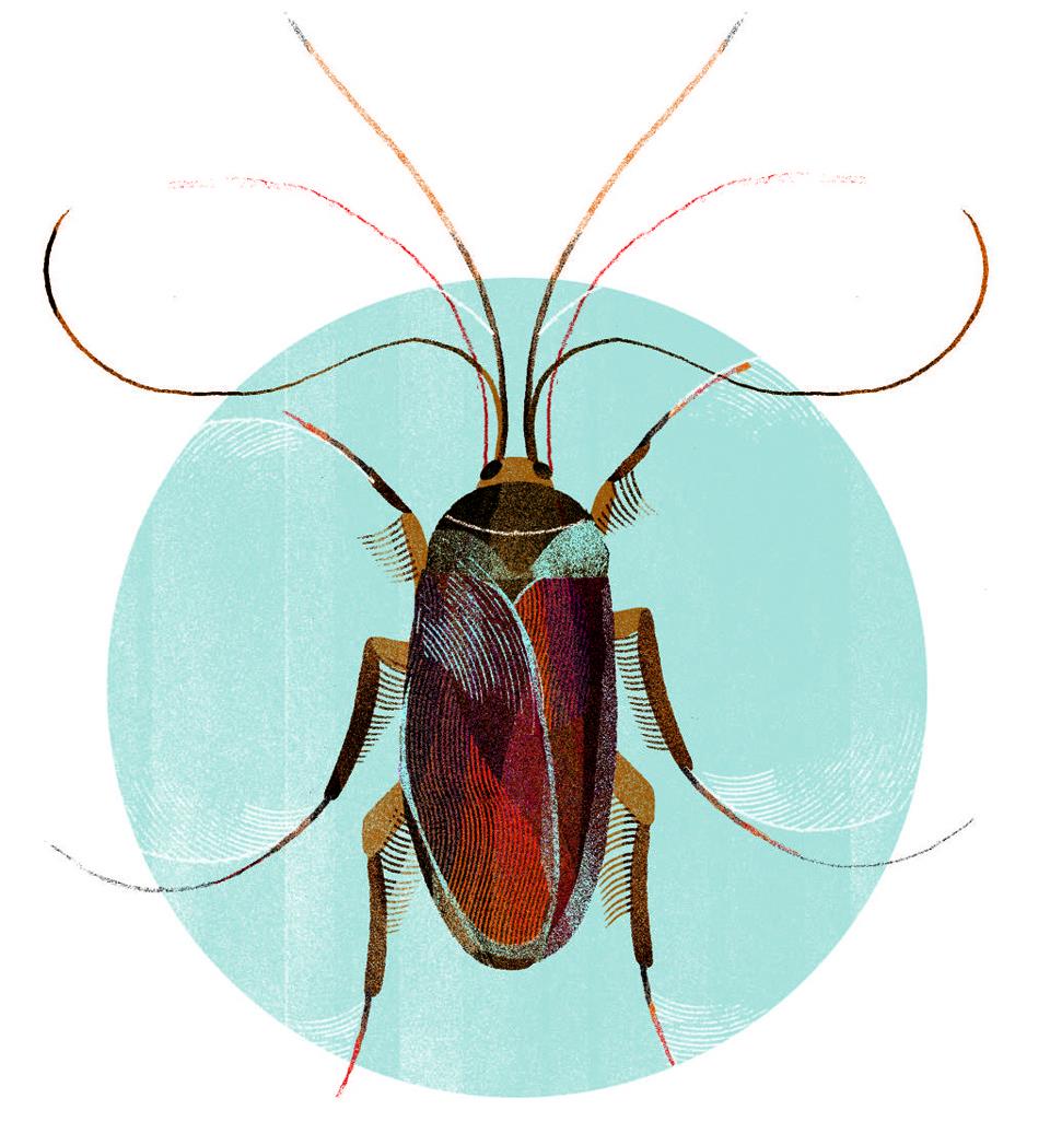 | Arquivo/Gazeta do Povo