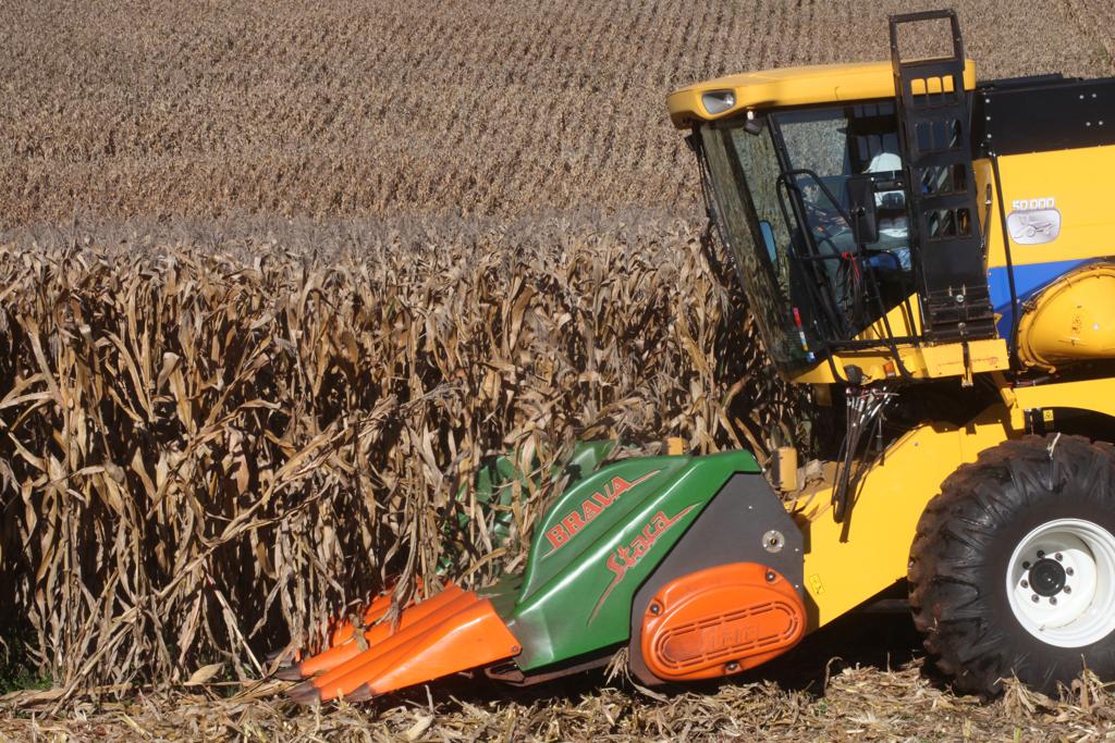 | Dirceu Portugal/Gazeta do Povo