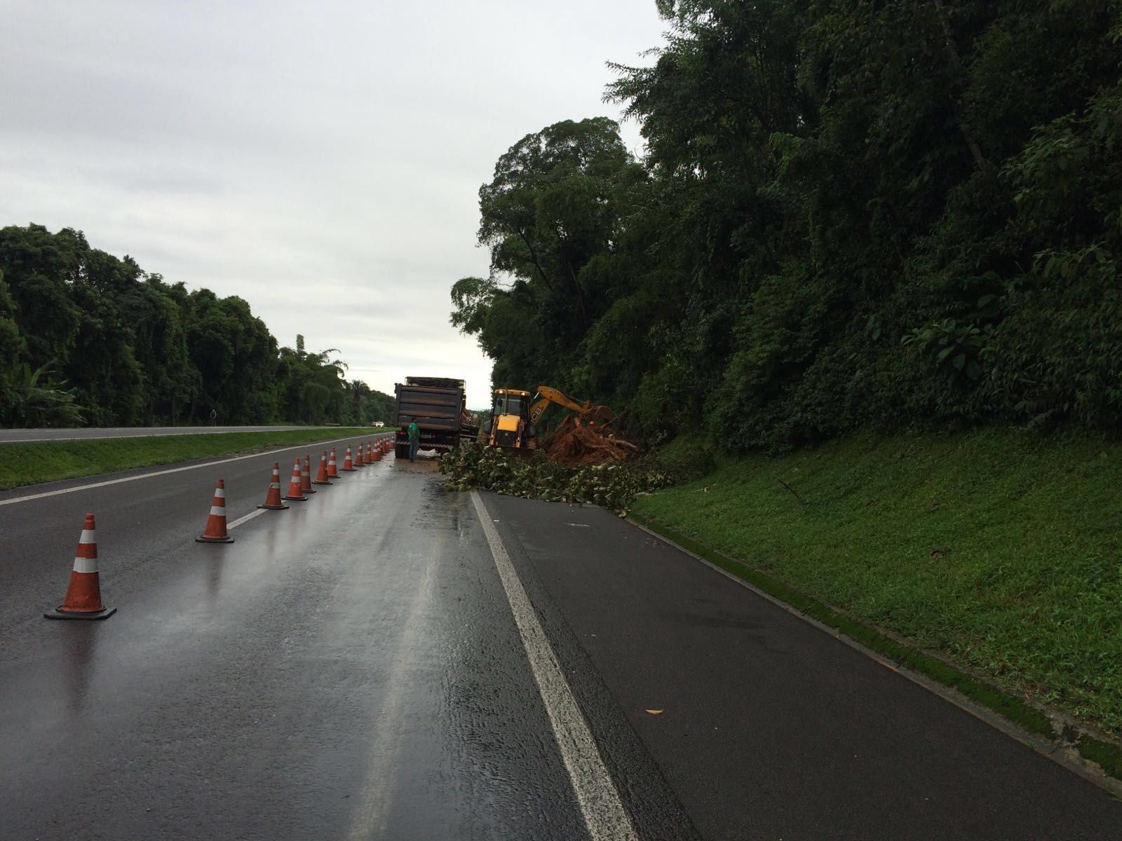 | Divulgação/Ecovia