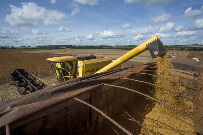 A equipe da Expedição Safra encerra dos trabalhos de monitoramento das lavouras de Goiás nesta quarta-feira (17), quando segue para percorrer algumas das regiões produtores de Minas Gerais. | Hugo Harada/Gazeta do Povo