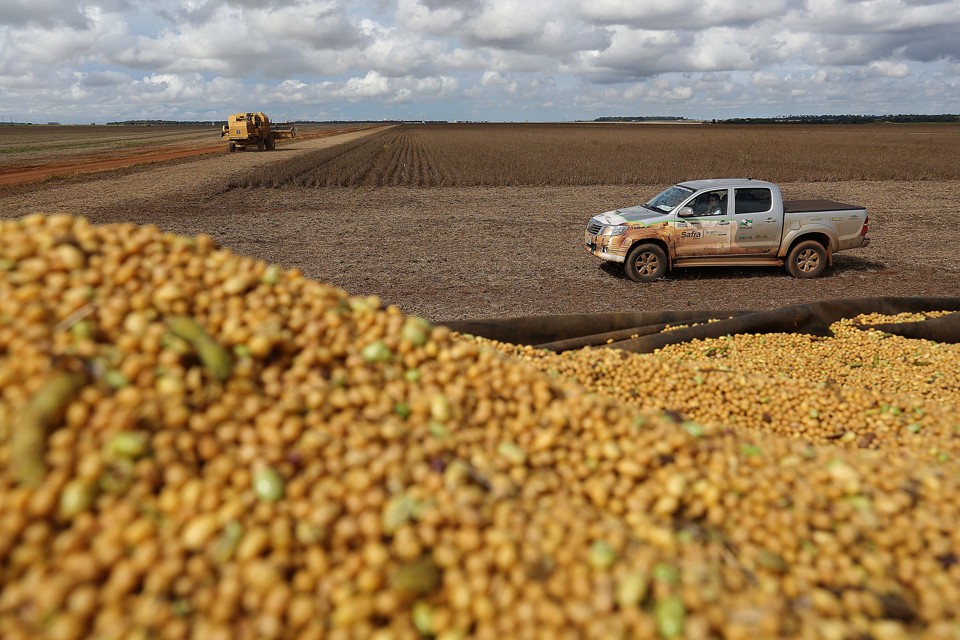 Expedição Safra volta a campo para verificar lavouras do SP, GO e MG. | Jonathan Campos/Gazeta do Povo