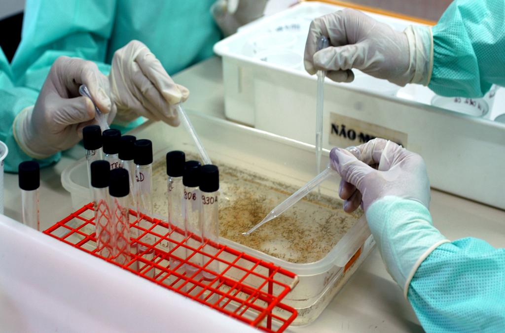 | Peter Ilicciev/Fiocruz Imagens