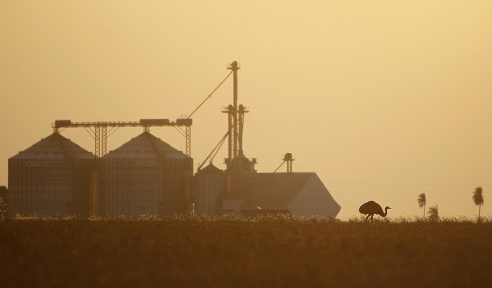 Setor agrícola foi o que mais contratou crédito por meio da instituição. | Jonathan Campos/Gazeta do Povo