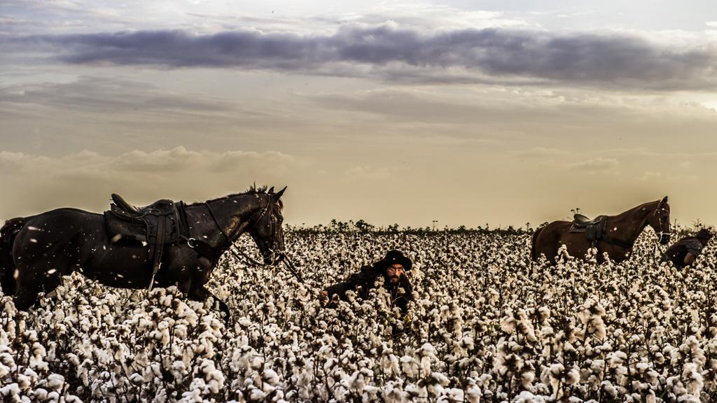 Qualidade visual excepcional da produção chamou a atenção dos especialistas. | Caiua Franco/Divulgação