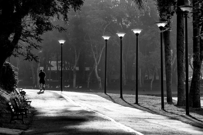A cidade e o Parque Barigüi - Foto: Henry Milleo / Gazeta do Povo | 