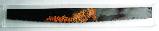 Obra do artista Yasushi Taniguchi | Divulgação