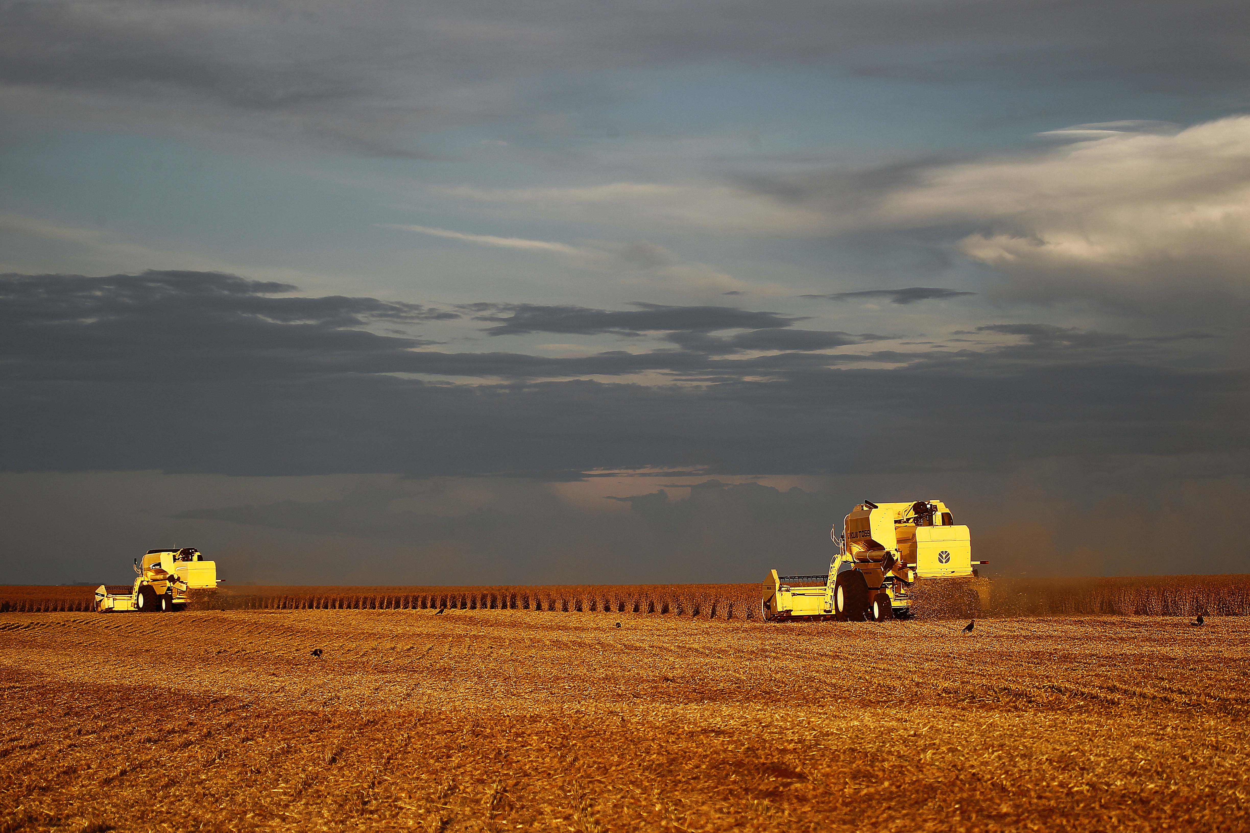 Mais do que demanda, o campo foi favorecido por avanços tecnológicos que ampliaram a produtividade. | Jonathan Campos/Gazeta do Povo