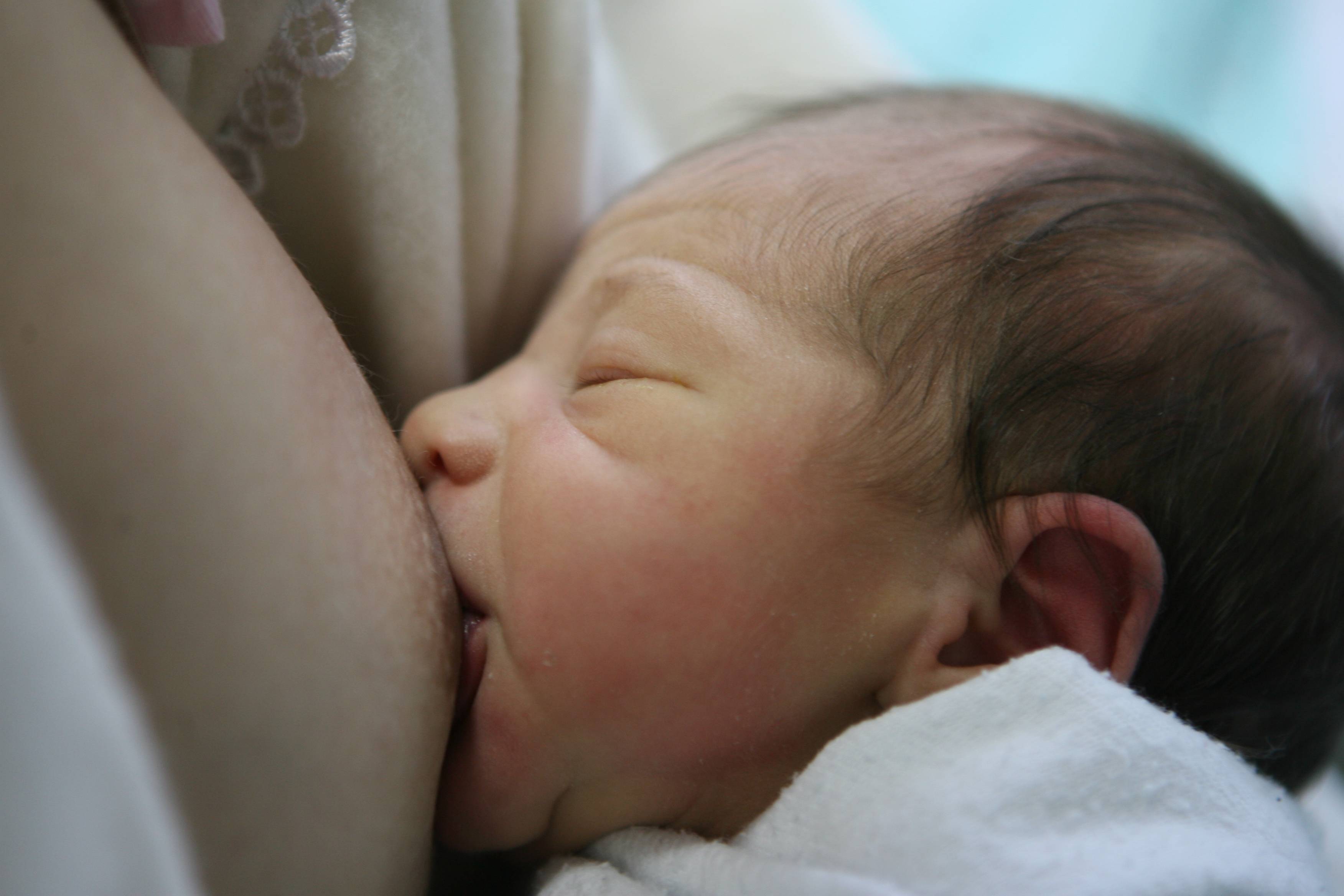 | Aniele Nascimento/ Gazeta do Povo