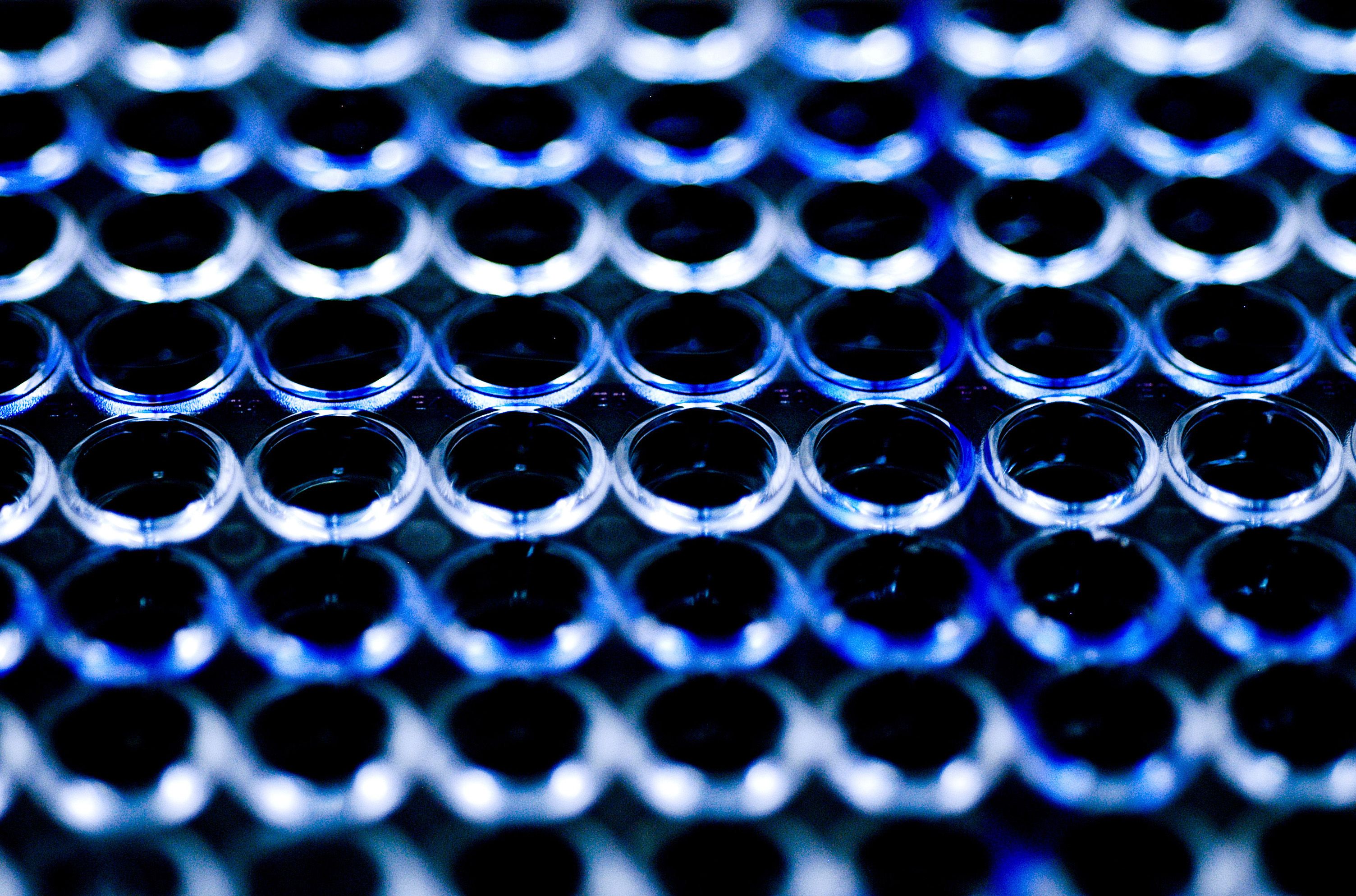 Pesquisadores brasileiros tentam decifrar o Aedes aegypti | Vinícius Marinho/Fiocruz