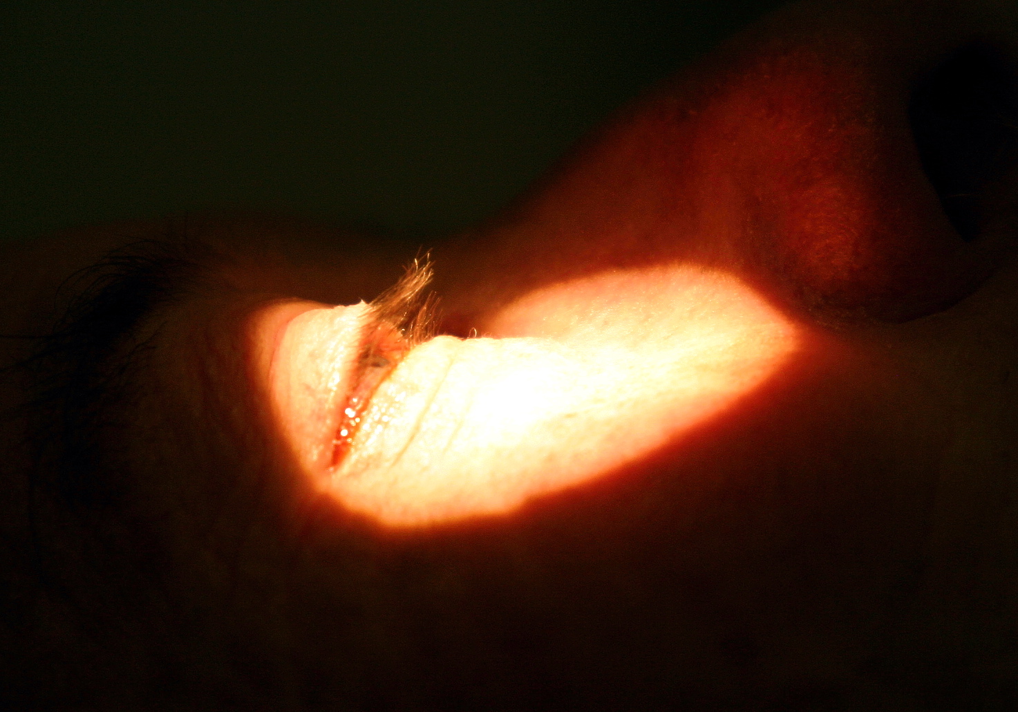 | Henry Milléo/Arquivo / Gazeta do Povo